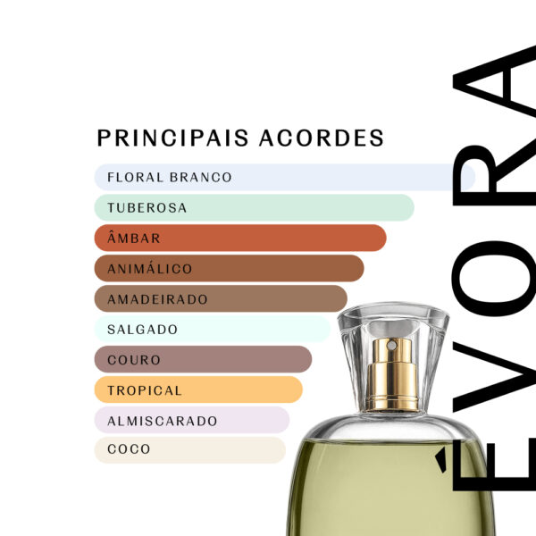 Évora 1930 - 100ml - Masculino - Imagem 2