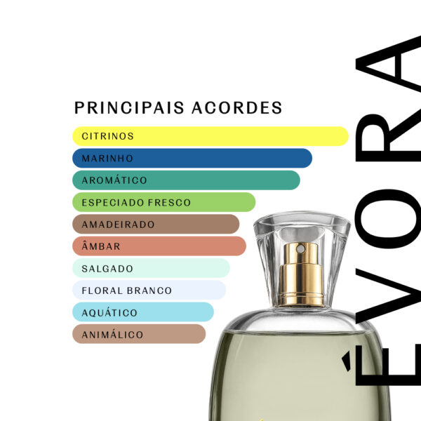 Évora 1982 - 100ml - Masculino - Imagem 2