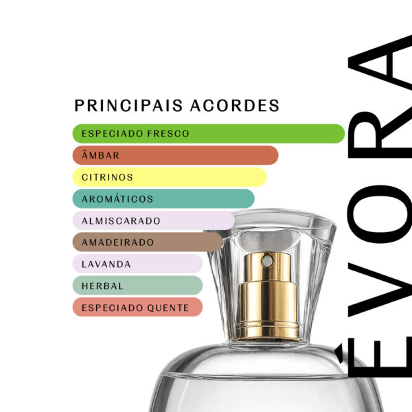 Évora 2053 - 100ml - Masculino - Imagem 2