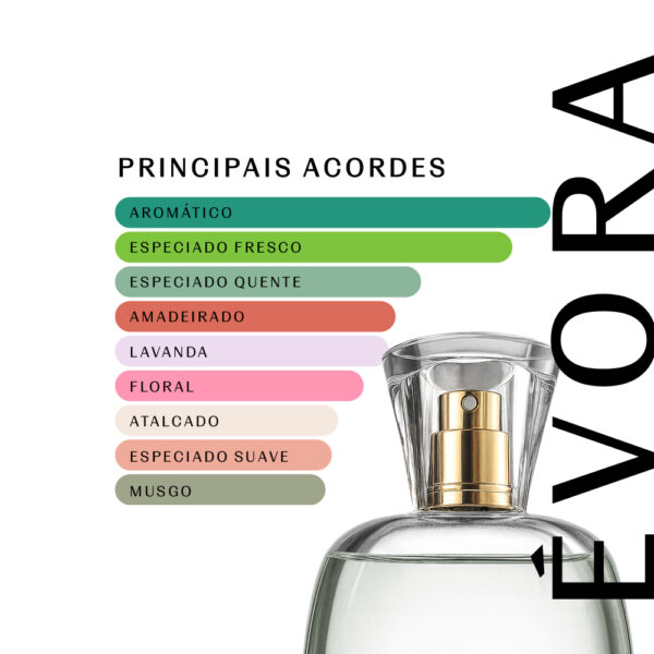 Évora 1922 - 100ml - Masculino - Imagem 2