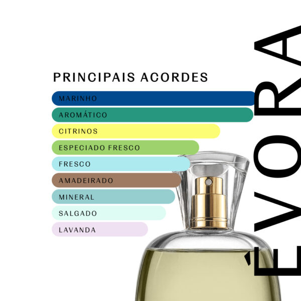 Évora 1927 - 100ml - Masculino - Imagem 2